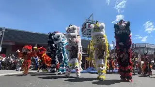 Lion Dance Cabramatta | AUS Jing Yee Lion Dance | Đo&agrave;n L&acirc;n Sư Rồng Tinh Nghĩa | 澳洲精義醒獅團
