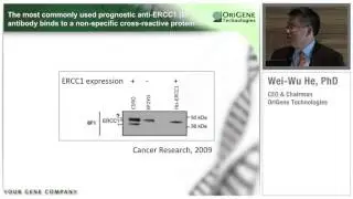 Webinar - Origene UltraMAB&trade;: The Ultra-Specific IHC Antibodies