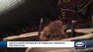South Hampton man bit by rabid bat hiding in his iPad case