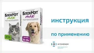 БлохНэт max. Инструкция по применению для кошек и собак