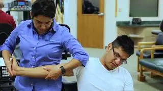 Strive! Physical Therapy Fun Facts