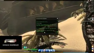 TSW Guide: Fundamente // The Secret World