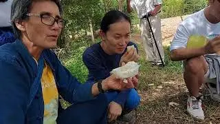 Self-reliance farming is growing in Nan, Thailand.