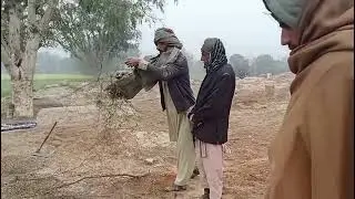New video