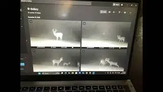 If it’s brown it’s down