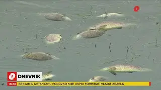 Ekološka katastrofa na Buškom jezeru: Osjeti se neugodan miris