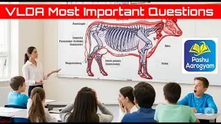 VLDA (Medicine) Most Important Questions 