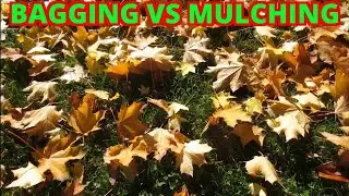 Bagging Vs Mulching Leaves | Which Is Better?