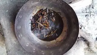 दारुहरिद्रा से रसांजन कैसे बनाएं एवम कहां उपयोग करें। Rasanjan preparation