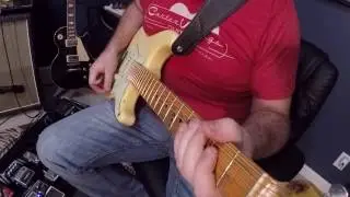 Lindy Fralin Woodstock 69' Pickups