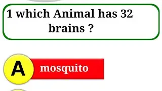 Which animal has 32 brains|| new gk question answer in English|| #shorts #gk#gkquiz#youtubeshorts