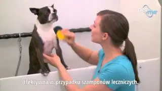pet+me PL: ORYGINALNA SILIKONOWA SZCZOTKA!