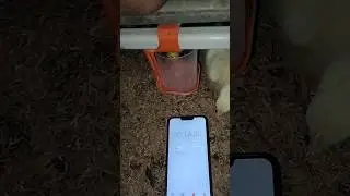 Nipple Flow Rate / Minute || Broiler poultry  || Birds welfare
