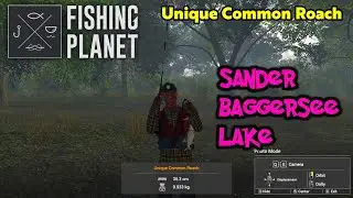 Unique Common Roach Sander Baggersee Lake - Fishing Planet