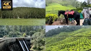 Budget travel in Munnar with 400 INR| DTPC| Must visit places | day-3 | Matupetty dam | Echo point
