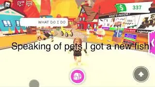 WHAT PEOPLE OFFER FOR A WOLF! (New fish irl)