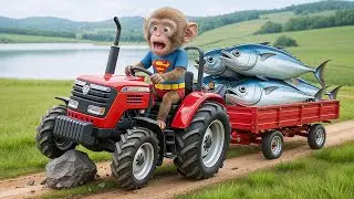 Monkey Funky&rsquo;s Fishing Run Turns CHAOTIC as His Tractor Cart Breaks&hellip; But His Smart Move Shocks All!😱