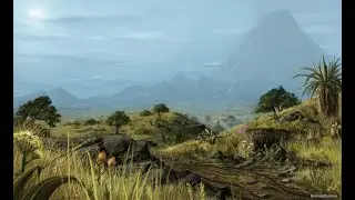 OpenMW Morrowind 2020 Distant Land + Grass mod + SHADERS/ West Gash / 1440p 60 FPS