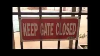 Signs Around Us