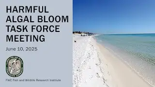HAB Task Force Meeting: June 10, 2025