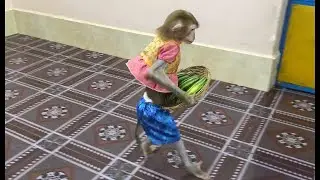 Sister Sovanny Walk To Take Big Basket Of Cucumber To Eat With Mom Very Sweet & Sugary!!