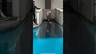 It Looks Like a Bath&hellip; It&rsquo;s Actually Therapy 🐎#shortvideo #viralvideo