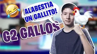 G2 GALLOS (JELTY) TODOS LOS GALLOS DE JELTY 🤣🐓