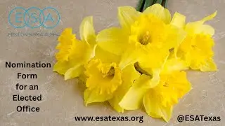 📋 ESA Texas Candidate Nomination Form Tutorial
