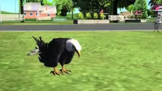 AstralANIMATION - Bald Eagle Flight Meditation - Learn How to Fly in Your Dreams with Chimes