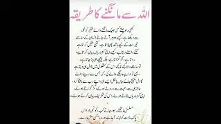 pyare nabi ki pyari Batain ||prophet mohammad Saw Quotes in Urdu #Islamic status #islamic hadees