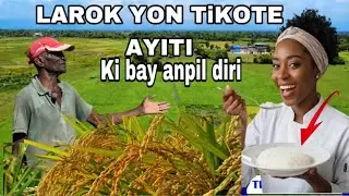 Vin vizite LARÒK yon nan Kote ayiti yo kiltive plis diri.