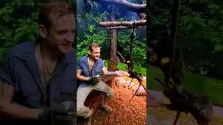 Wildlife Conservation event #iguana #alligator #snakes #reptiles #cuteanimals #conservation #animals