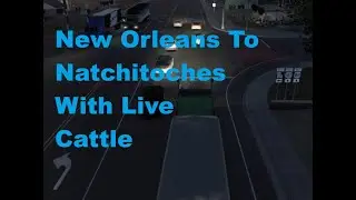 American Truck Simulator - New Orleans To Natchitoches With Live Cattle