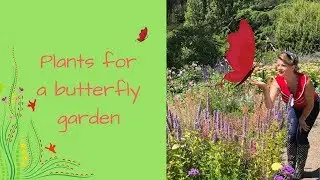 Grow a Butterfly Garden with butterfly attracting plants & flowers // The Gardenettes