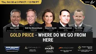 Gold Price - Where Do We Go From Here 💸 | NOIC, Contango ORE, First Mining Gold, TDG Gold Corp
