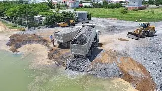 Impressive Working!! Shantui Bulldozer Pushing Stone Filling The Lake With 25T Dump Trucks