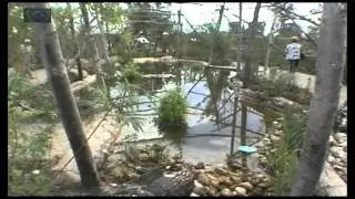 Landesgartenschau  Kehl mit Straßburg