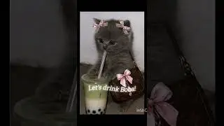 Cute kitty talking to you💗✨️ // #trend #classicalmusic #kitten #cute