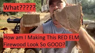 #159 What??? RED ELM Makes Good Firewood. NO WAY!!!!#firewood