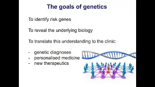 Kevin Mitchell The messy reality of the genetics of neurodevelopmental disorders CAIDPN conf 2020