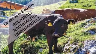 Direkt vom Bauern. Regional. Nachhaltig. Unbehandelt. Fisch und Fleisch aus artgerechter Haltung.
