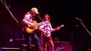 Billy Strings live 