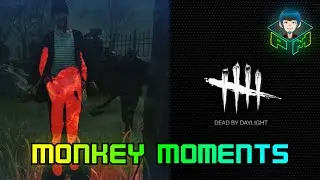Monkey Moments DBD - Killer rage quit?