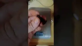 Спортивный болт или обычный болт ?