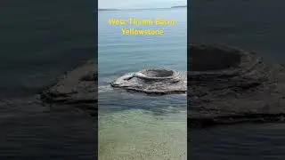Yellowstone: West Thumb Basin #westthumb #yellowstonenationalpark