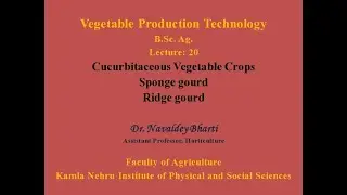 Production Technology of Sponge gourd and Ridge gourd Lecture 20
