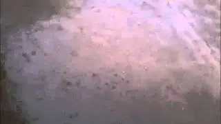 Drizzle rain in city Malout, Punjab