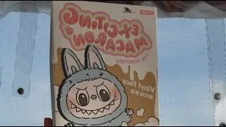 First Ever Blind Labubu Unboxing!