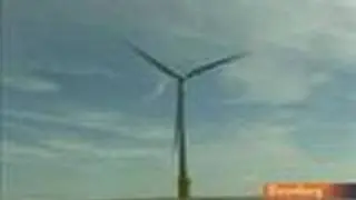 Dong, Shell, Probe Possible Flaw at Offshore Wind Parks