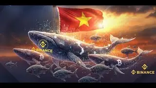 Binance suggests that Vietnam should exempt income tax for crypto